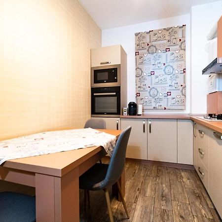 Yan Apartment - Near Mall & Free Private Parking Braşov Extérieur photo